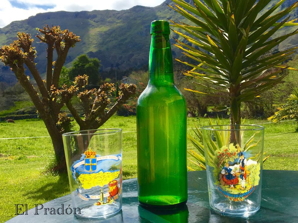 Apartamentos El Pradon De Santa Marina Parres de Llanes エクステリア 写真